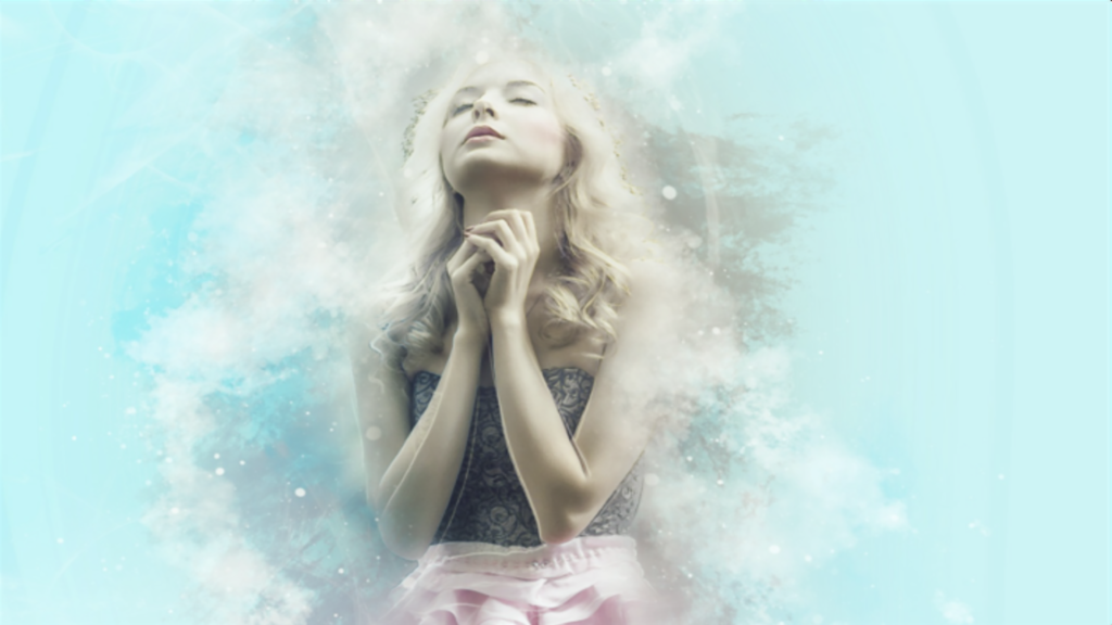 Shopify Themes