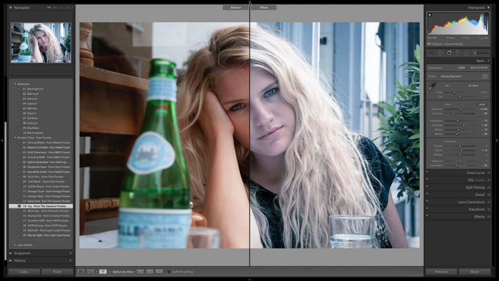 lightroom Preset
